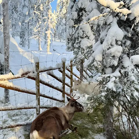 Hébergement de vacances North Sky By In Lapland